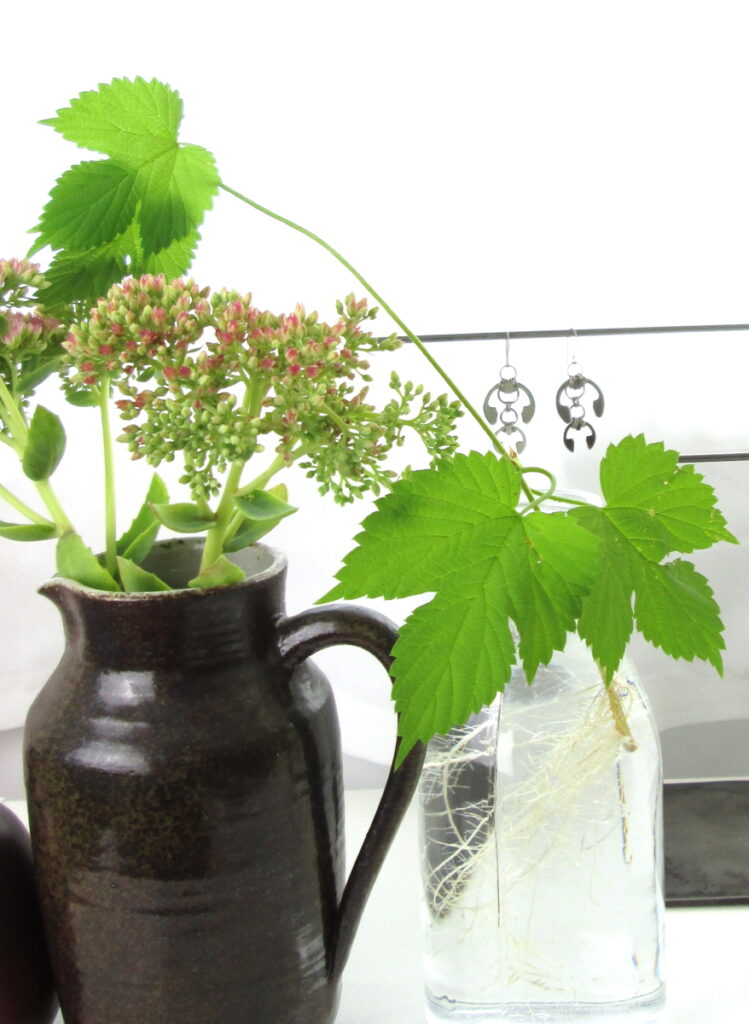 Sedum 'Autumn Joy" and rooting hops vines in vases with Wraptillion's Hops earrings.