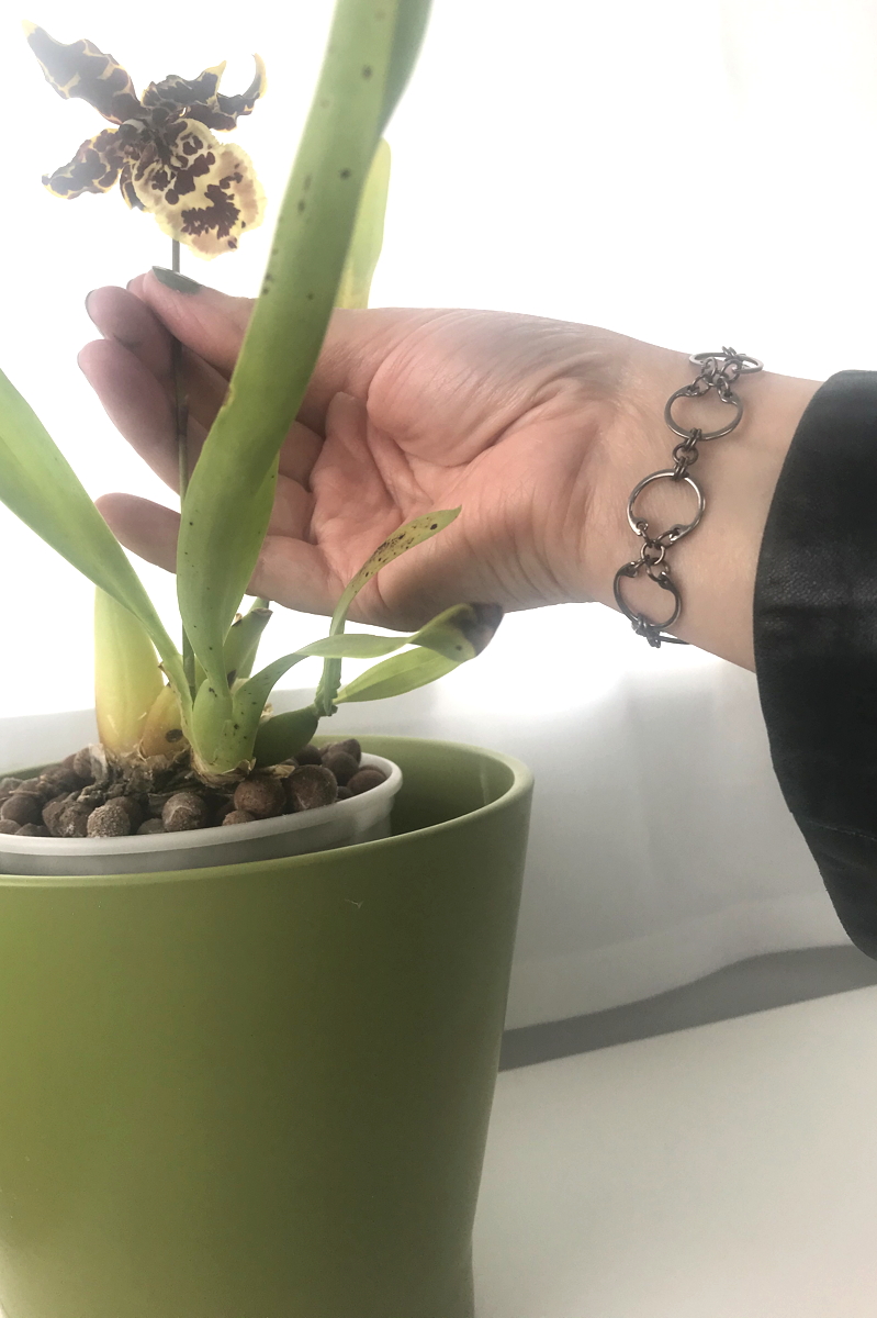 A hand touching a brown and yellow blooming orchid flower stem, wearing Wraptillion's Baseline CXC bracelet.