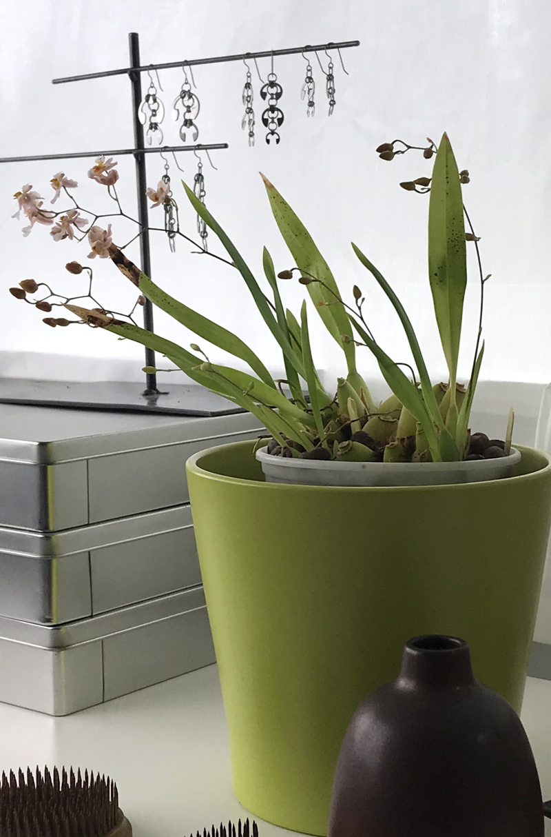 Wraptillion's Hops Earrings, Laburnum Earrings, Long Fuchsia Earrings, and Short Fuchsia Earrings, on a jewelry stand with orchid Oncidium 'Tsiku Marguerite', a stack of metal boxes, a small Heath bud vase, and two antique flower frogs in a studio.