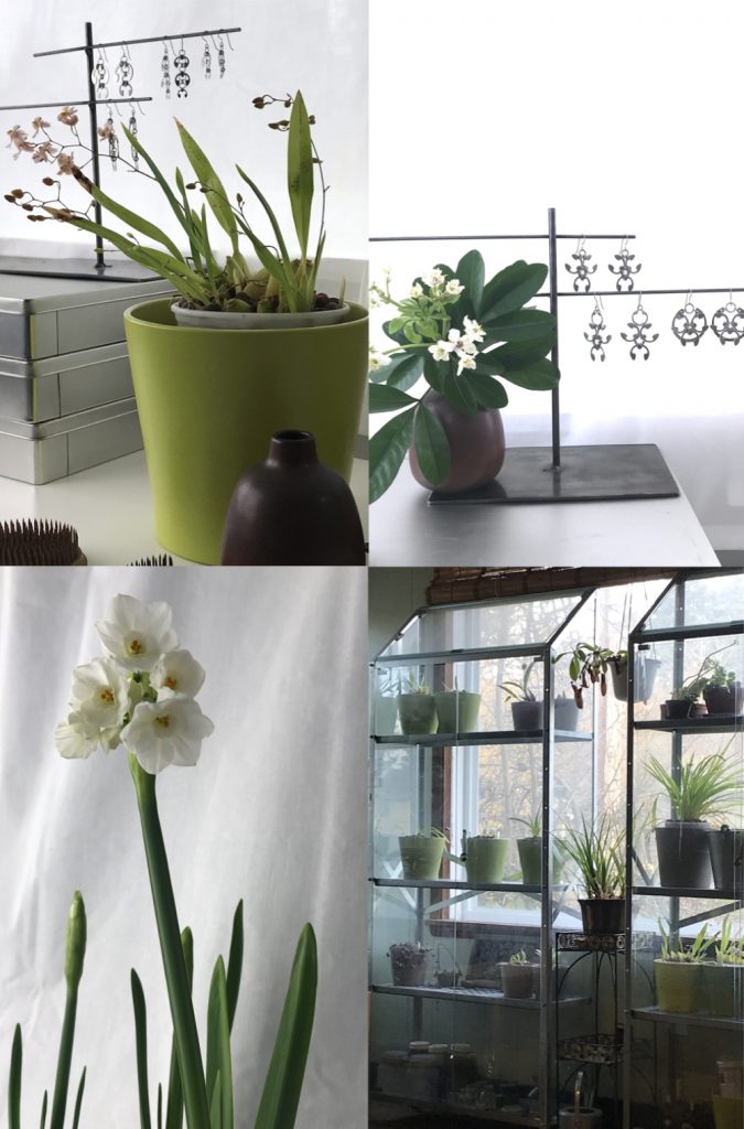 4 photos from Wraptillion's studio flowers series, showing a blooming oncidium orchid and choisya with Wraptillion jewelry, plus a blooming paperwhite narcissus and indoor greenhouses with houseplants