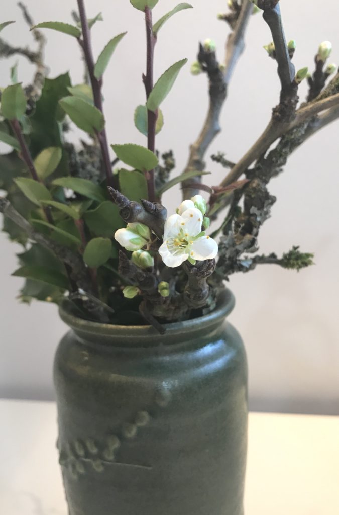 Closeup photo of a small casual winter floral arrangement in a green ceramic vase, with mahonia, evergreen huckleberry, and plum branches breaking into flower.