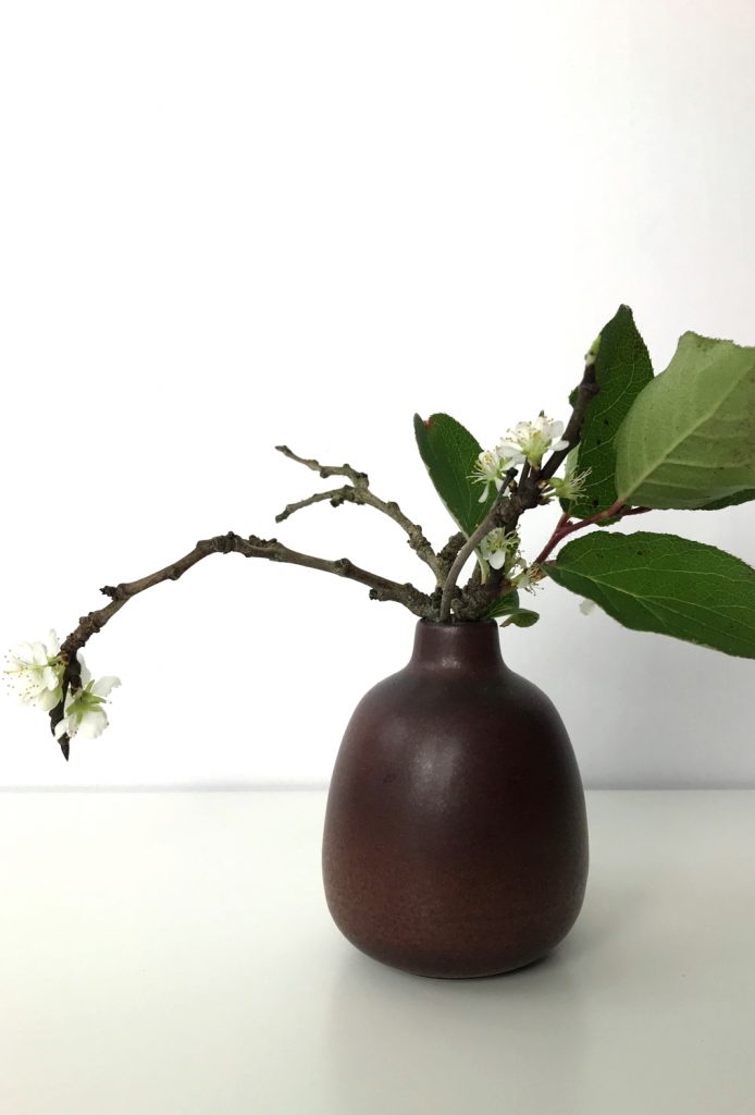 A small winter arrangement of flowering plum branches and salal leaves in a small ceramic bud vase.