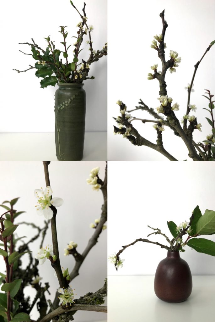 A compilation of four images featuring small winter arrangements of plum branches flowering with mahonia, huckleberry, and salal leaves.