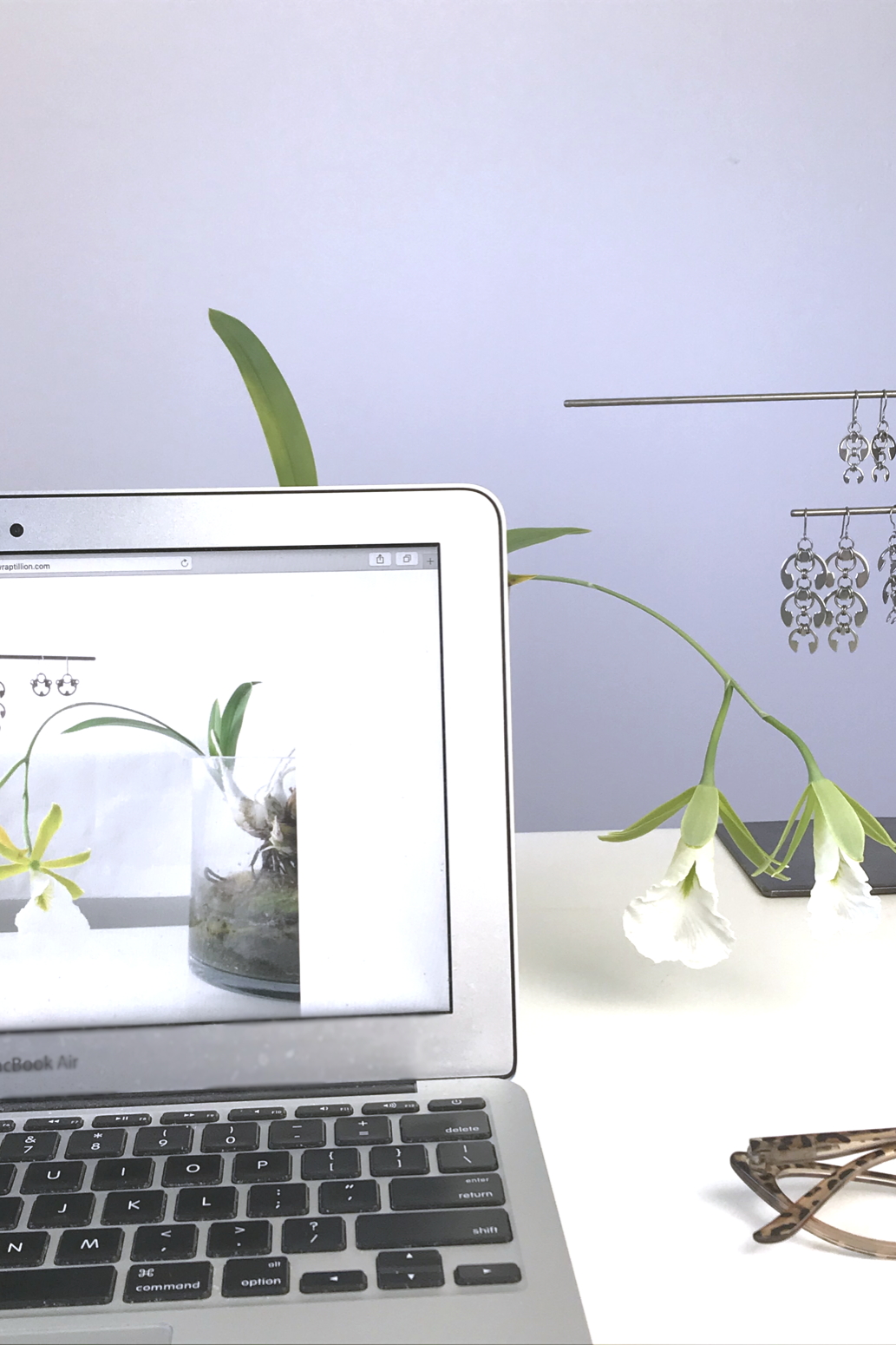 Orchid Encyclia mariae (formerly Euchile mariae) blooms on a desk in Wraptillion's studio behind a laptop, next to reading glasses and earrings from Wraptillion's Mechanical Garden collection.