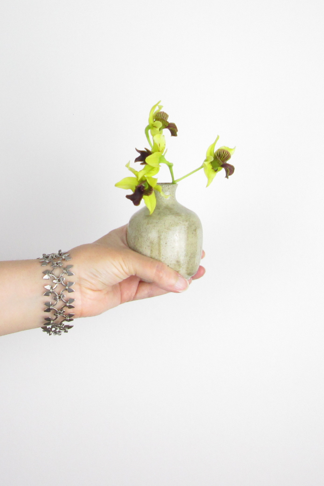 A hand holds a ceramic bud vase with orchid Dendrobium 'Green Flash', wearing Wraptillion's delicate, spiky modern chainmail Wisteria bracelet.