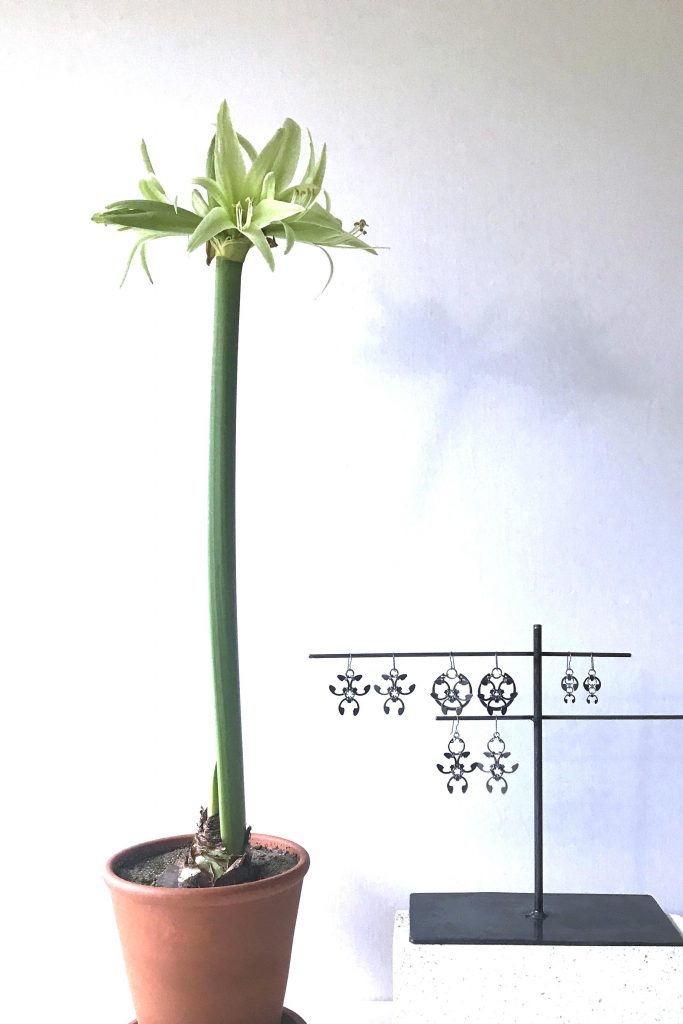 Amaryllis (Hippeastrum) 'Evergreen' shown with Wraptillion's Trellis, Rose Window, Fuchsia, and Garland earrings.